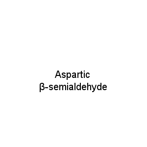 Aspartic β-semialdehyde